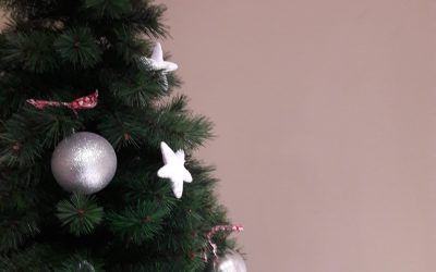 Aperitivos saludables para estas Navidades