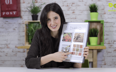 Alimentación para cuidar tu colesterol